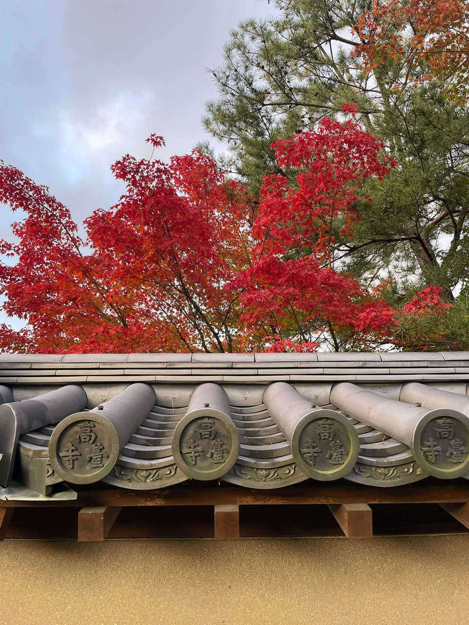 Zen.nl, Zen, meditatie, leren mediteren, Brian Victoria, Kyoto, Japan, zentuin, studiereis, tempel